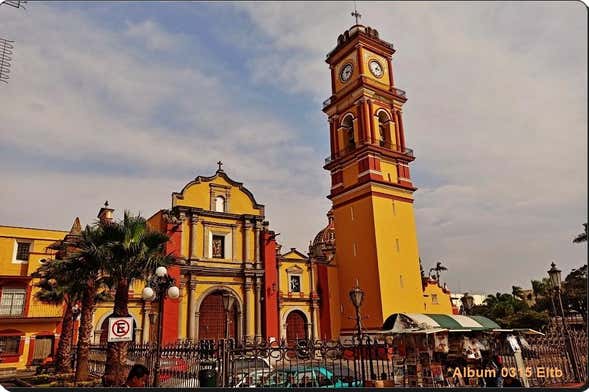 Orizaba & Coscomatepec Excursion