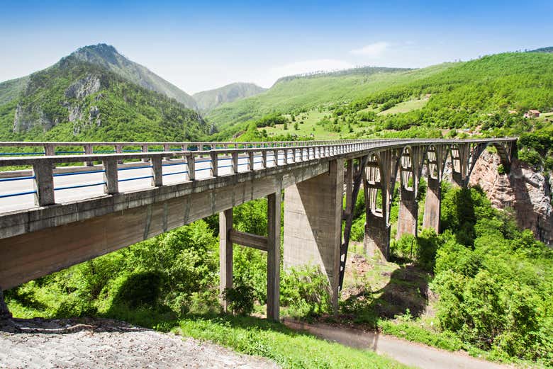 Admiring the Đurđevića Tara Bridge