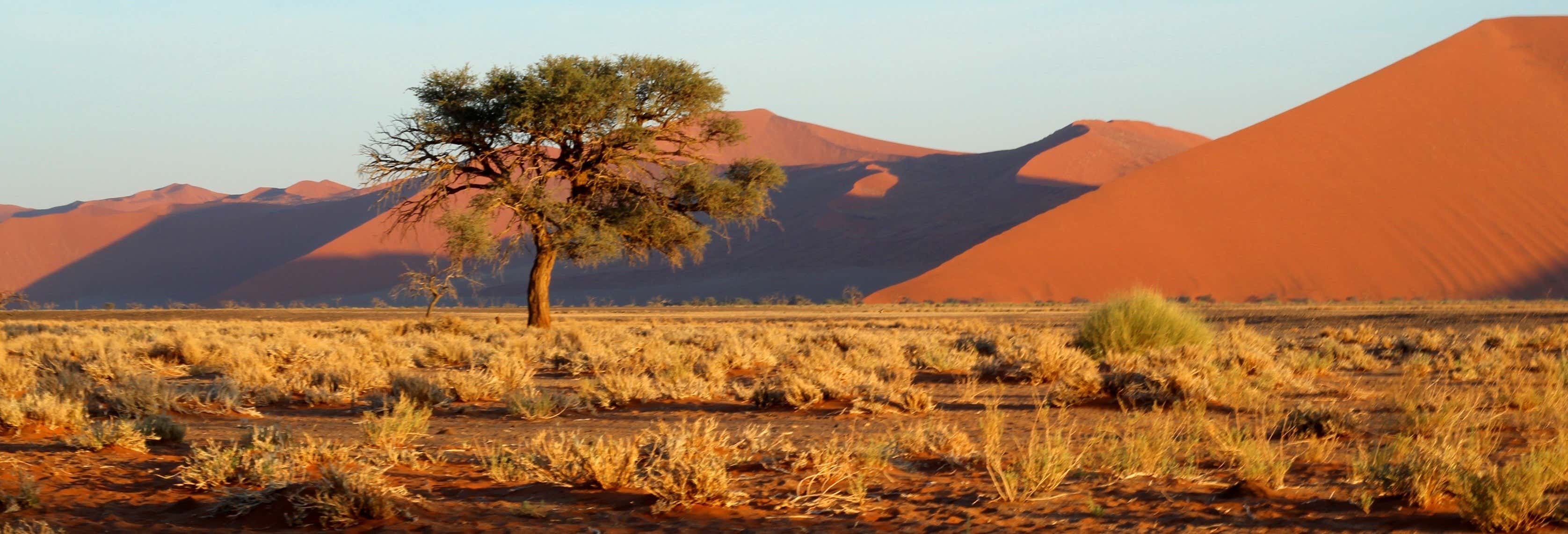 Sossusvlei