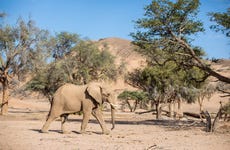 10-Day Safari around Namibia