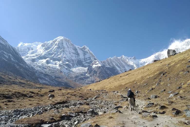 Annapurna Base Camp Trek: 6 Days from Pokhara - Civitatis.com