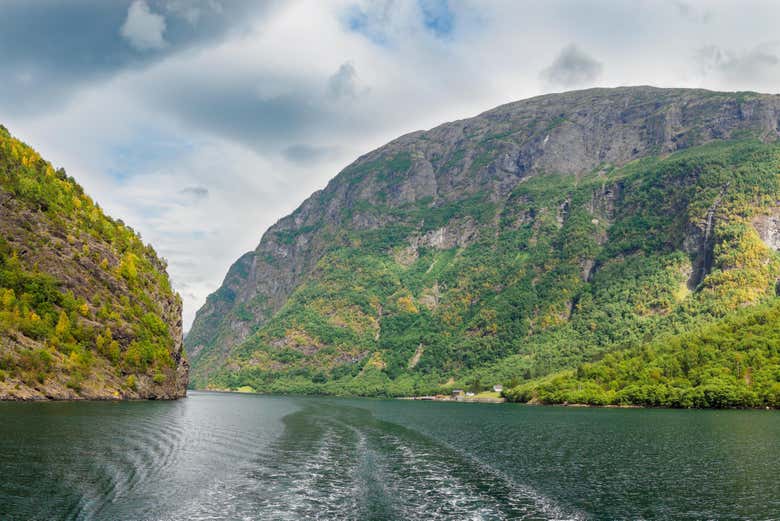 Naegando por el Fiordo de los Sueños