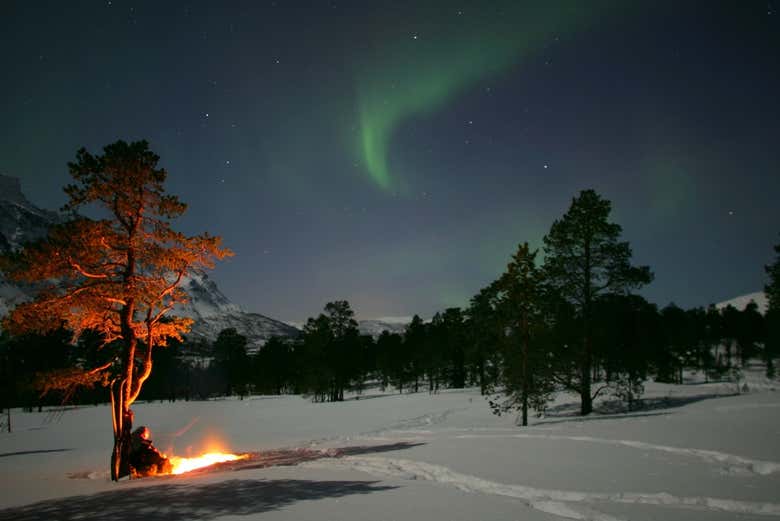 A spectacular natural phenomenon