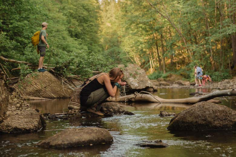 Lysaker River Hiking Tour From Oslo - Book Online At Civitatis.com