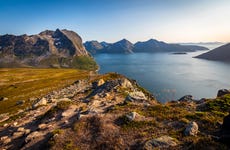 Excursión al fiordo e isla de Kvaløya