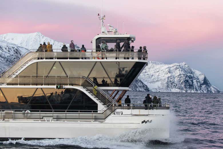 Sailing around the arctic waters of Norway