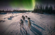 Paseo en trineo de renos bajo la aurora boreal