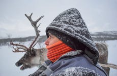 Visita a un campamento sami y una granja de renos