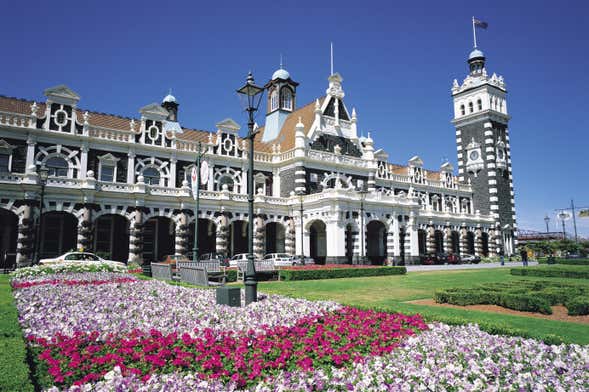 Dunedin Guided Tour