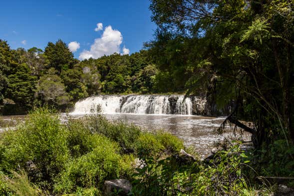 Excursión privada a Kerikeri