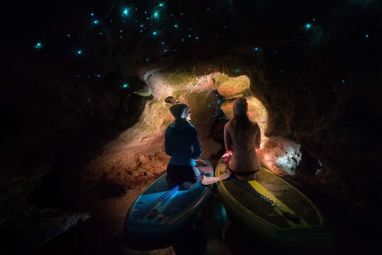 Admiring fascinating glow worms