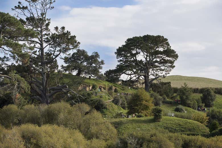 Explore Hobbiton nesta excursão