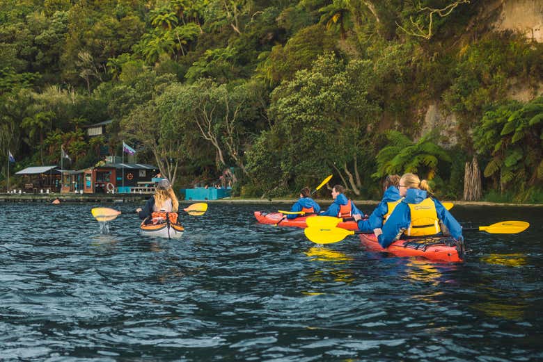 Lake Rotoiti Kayak Tour + Geothermal Pools, Rotorua