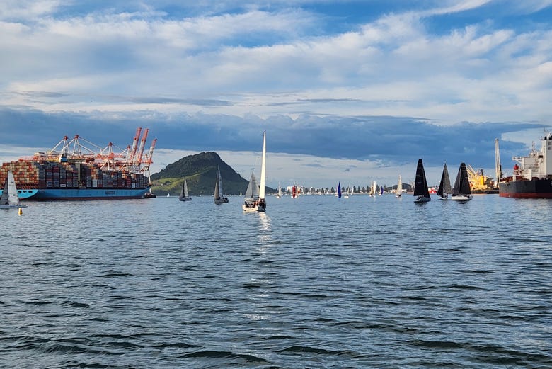 Cruise along the waters of Tauranga