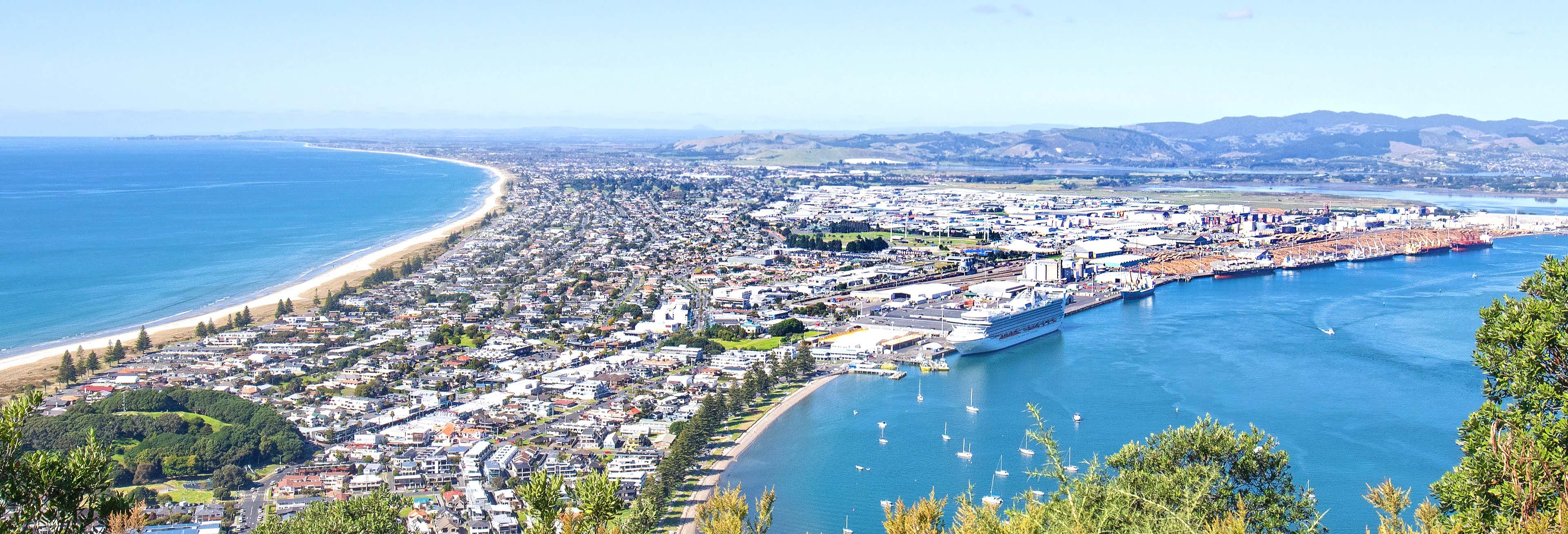 Activities, Guided Tours and Day Trips in Tauranga