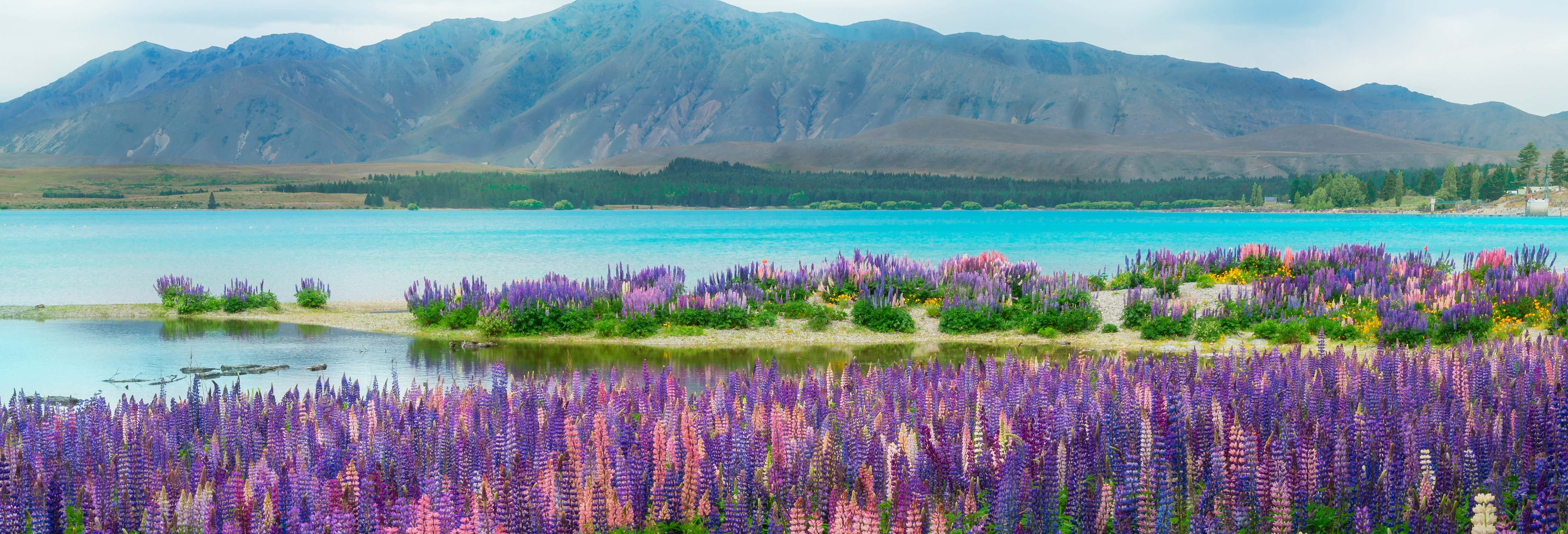 Excursiones, visitas guiadas y actividades en Tekapo - Civitatis