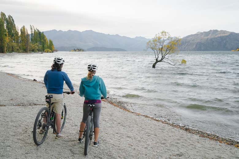 Tour Lake Hawea by bike and enjoy the natural wonder of the area