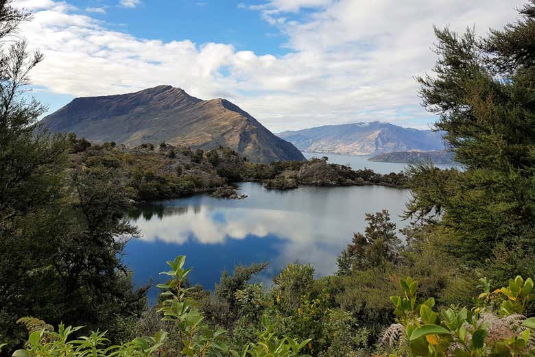 The views on South Island