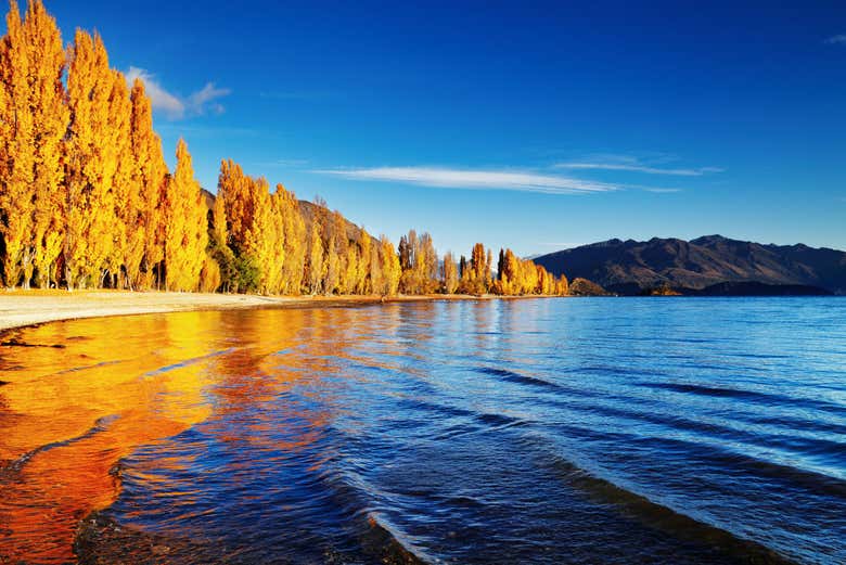 Lake Wanaka in autumn