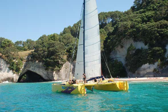 Coromandel Boat Charter with Skipper