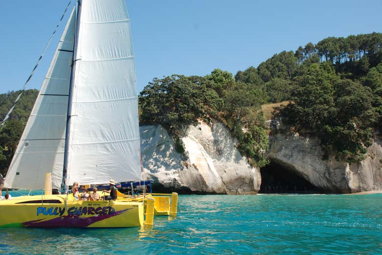 Catamarán por la costa de Coromandel