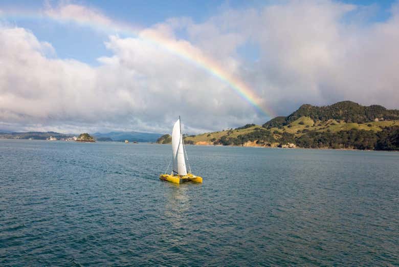 Private catamaran along the coast of Coromandel