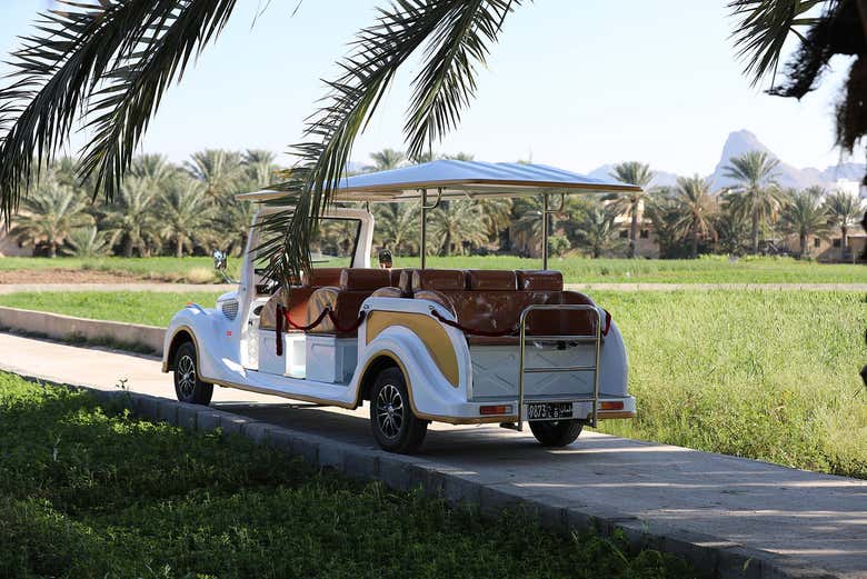 See Al Hamra from a vintage buggy on this guided tour