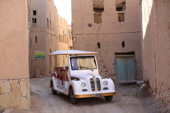 Private Buggy Tour of Al Hamra