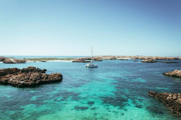 Snorkeling aux îles Daymaniyat