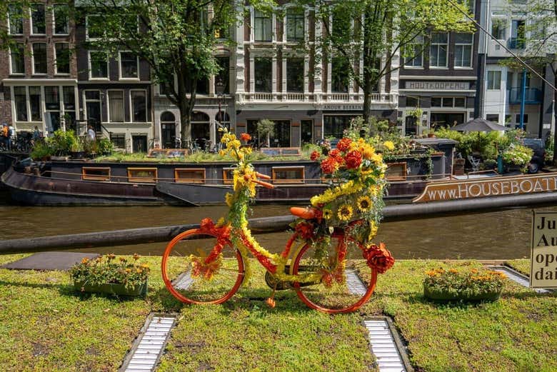 Explore the best of Amsterdam