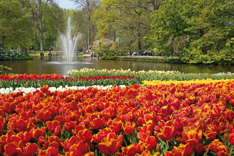 Day Trip to the Keukenhof Gardens, Amsterdam - Civitatis.com