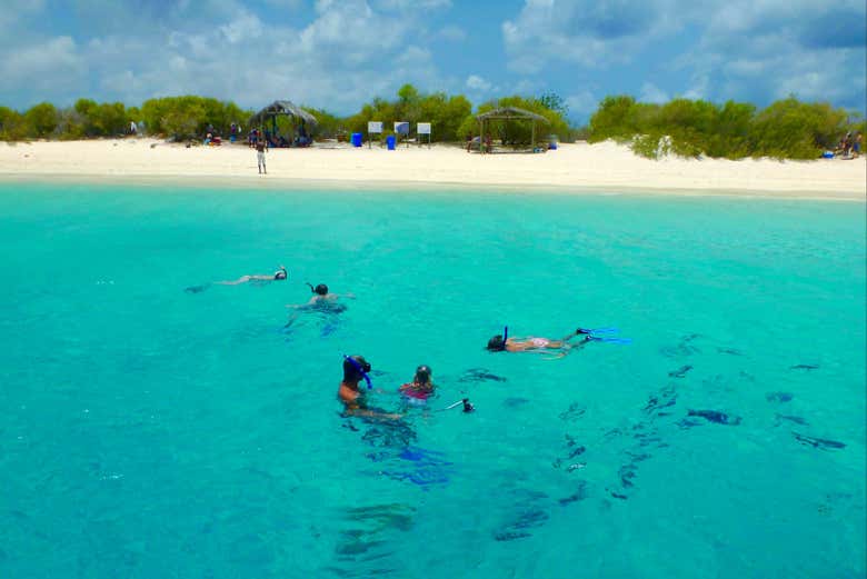 Spend the day in Klein Bonaire