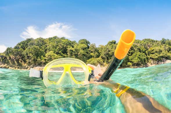 Snorkel en Bonaire