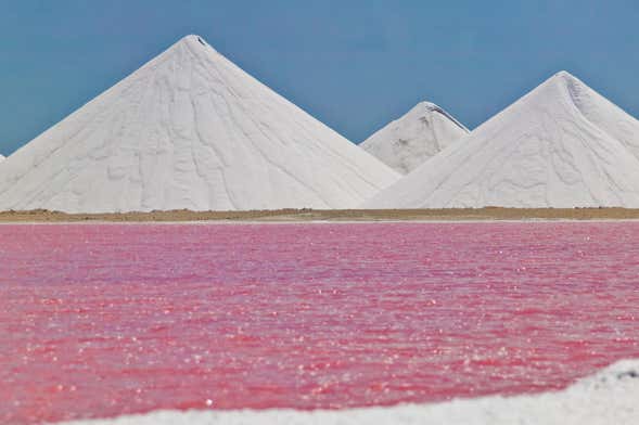 Bonaire Sightseeing Tour