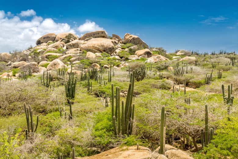 Rocas ayo en el parque de Arikok