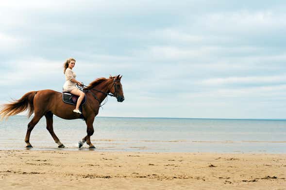 Paseo a caballo por la playa de Wariruri