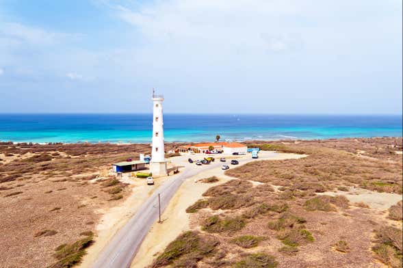 Aruba Buggy or Quad Tour