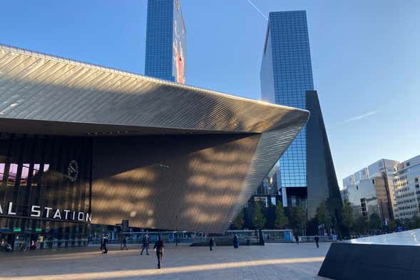 Guided Walking Tour of Rotterdam