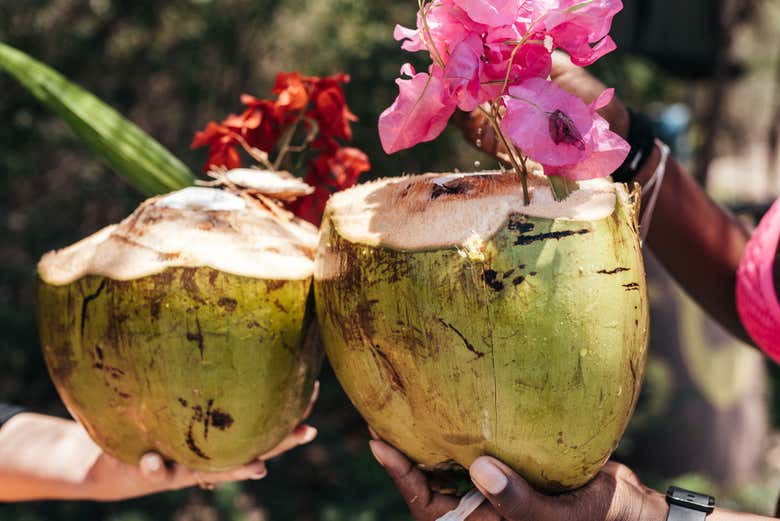 Água de coco refrescante