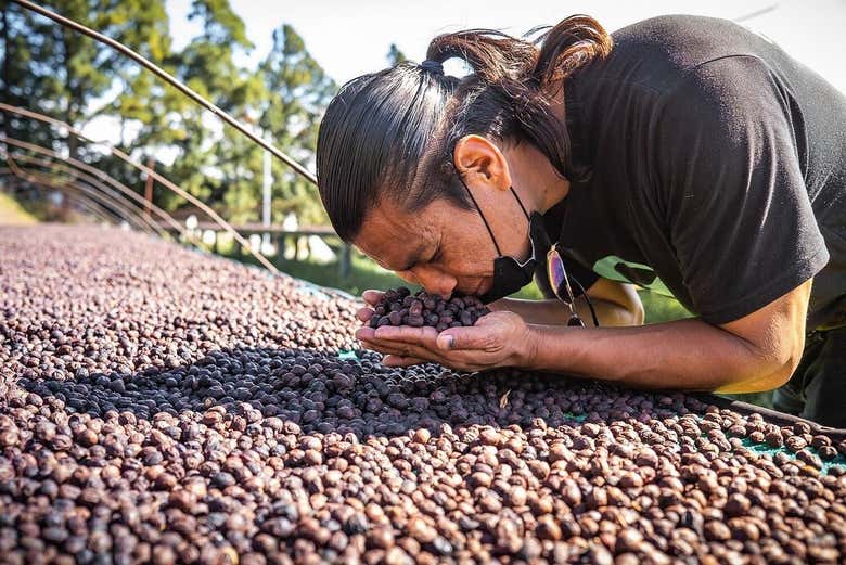 Apreciando el aroma de los granos de café