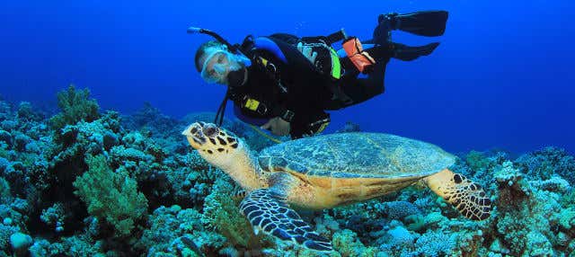 Scuba Diving in Portobelo from Panama City - Book at Civitatis.com