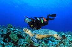 Buceo en Portobelo