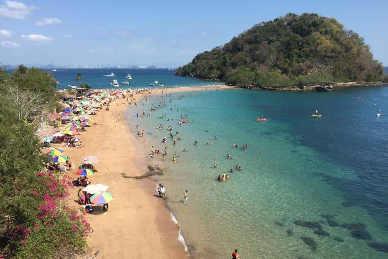 Visit Taboga Island hassle-free