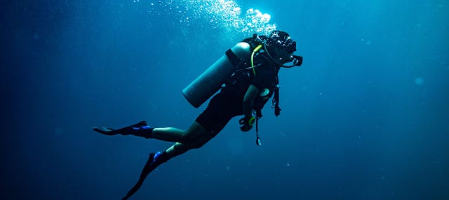 Aletas de Buceo Natación Porto