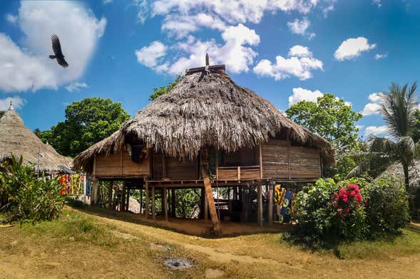 Visita a una comunidad indígena en la selva del Darién