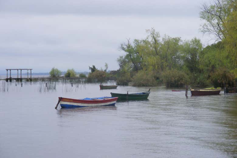 Lake Ypacaraí Tour from Asunción - Book Online at Civitatis.com