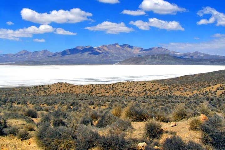 Laguna de Salinas