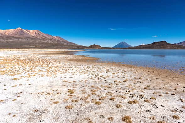 Excursión a las lagunas de Salinas y Yanaorco + Baños termales de Lojen