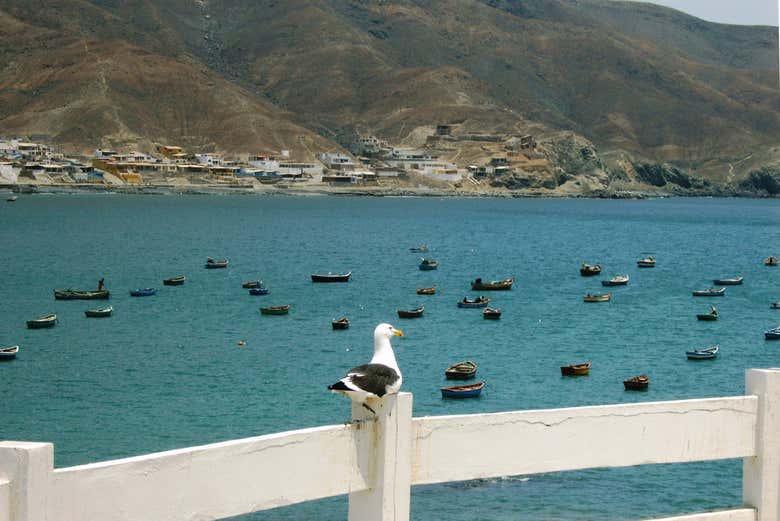 Bahía de playa Tortugas