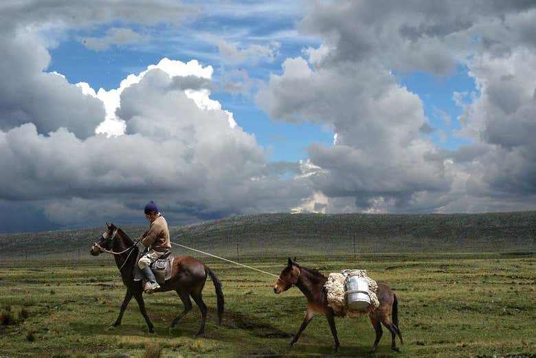 Paysages du plateau de Bombón